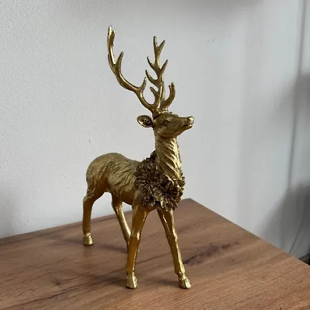 Boutique In The Center Of *